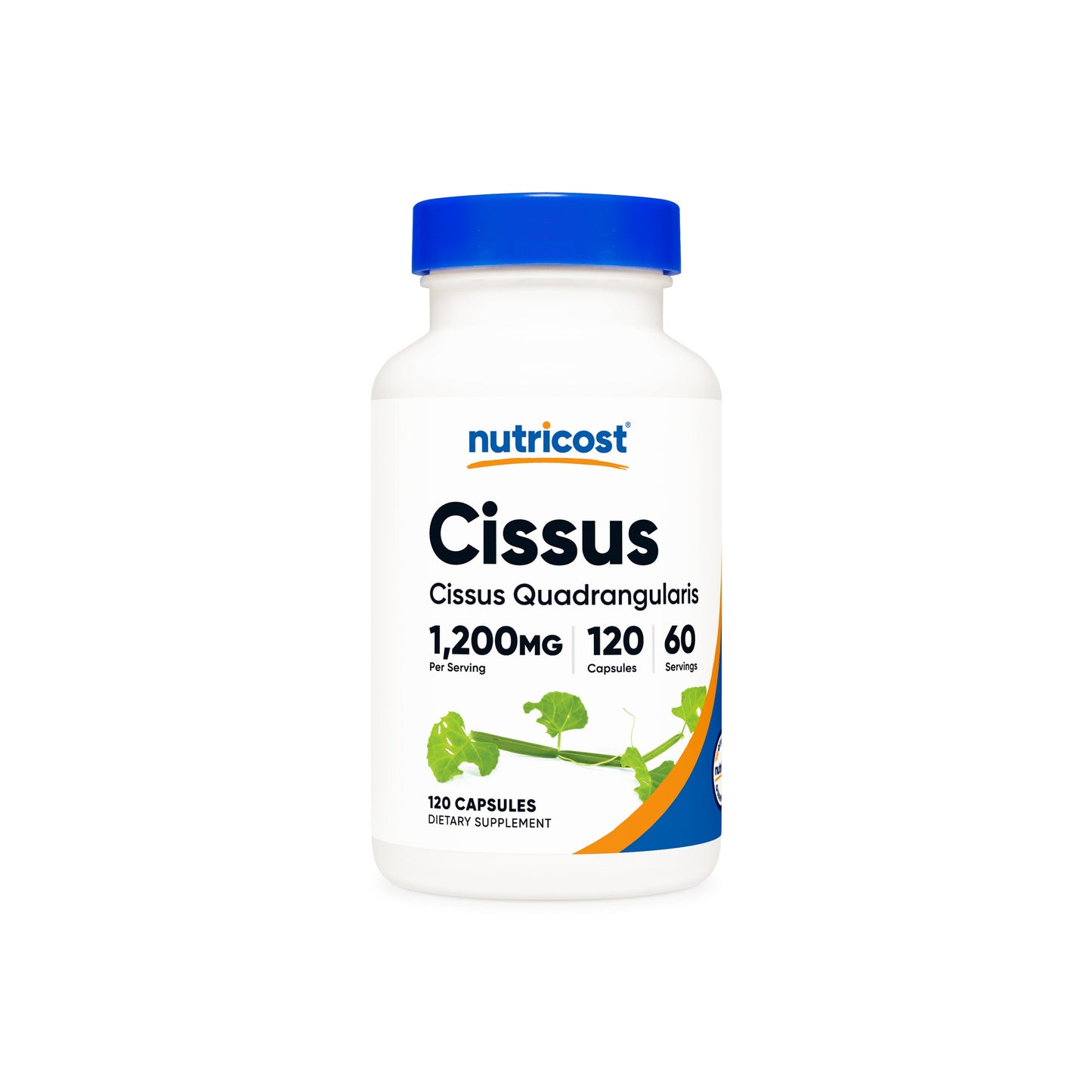 시서스 콰드랑굴라리스 600mg 240캡슐