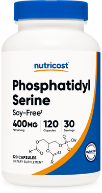 포스파티딜세린 400mg 120캡슐